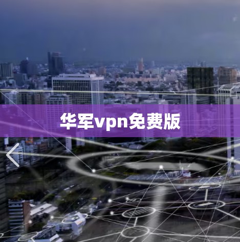 华军vpn免费版