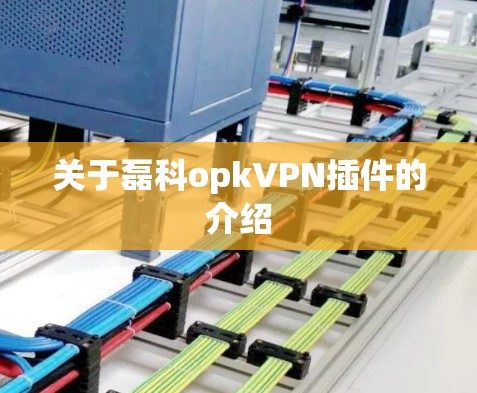 关于磊科opkVPN插件的介绍